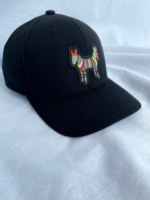 PUSH Apparel Flexfit Hat