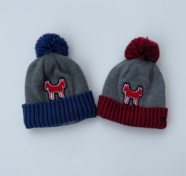 The Varsity
