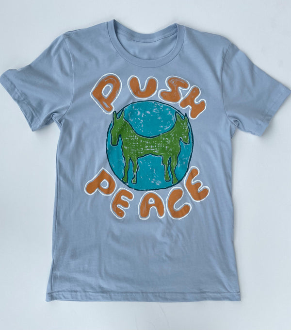 PUSH Peace